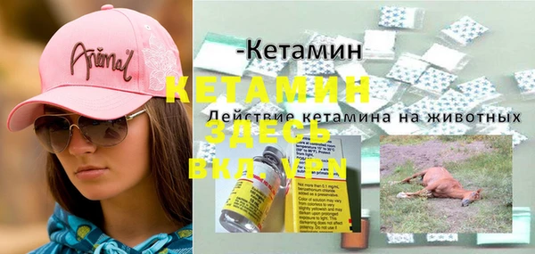 сатива Пестово