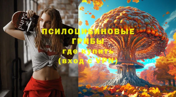 кокаин премиум Богородицк