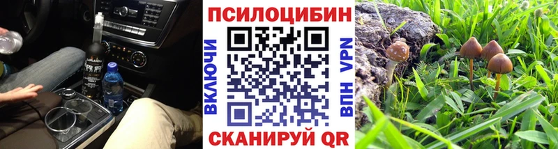 Псилоцибиновые грибы GOLDEN TEACHER Сретенск