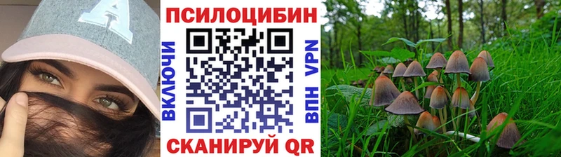 Галлюциногенные грибы Psilocybe  Сретенск 